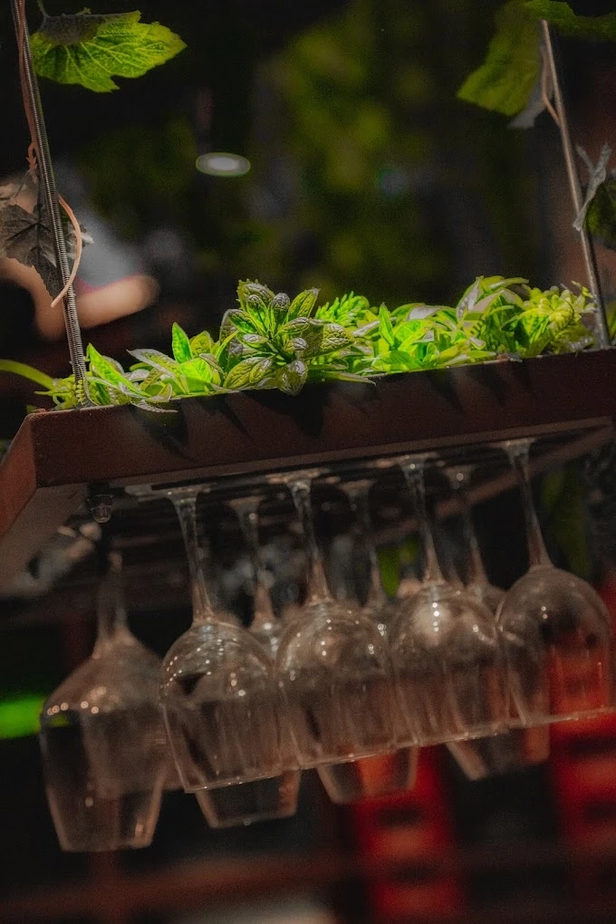 reservas en Tetería Ego House Madrid